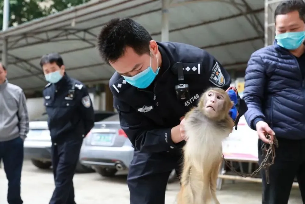 山西侯马市职业中专学校女生被性侵事件原视频完整版_山西侯马市中专性侵事件_侯马性侵女生事件