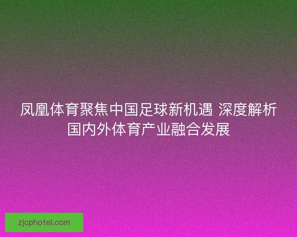 凤凰体育聚焦中国足球新机遇 深度解析国内外体育产业融合发展