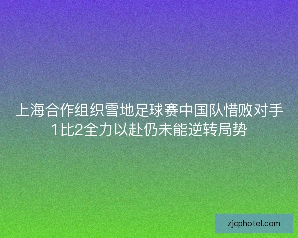 上海合作组织雪地足球赛中国队惜败对手1比2全力以赴仍未能逆转局势